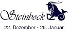 Steinbock - Partnerschafts-Horoskop
